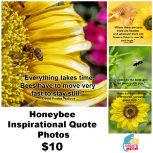 Honeybee Inspirational Quote Photos