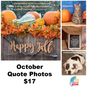 October Quote Photos