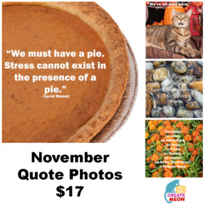 November Quote Photos