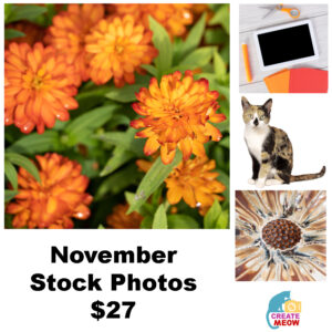 November Stock Photos